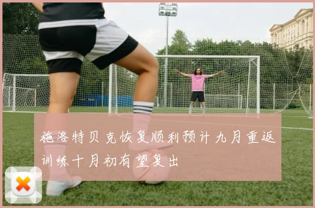 施洛特贝克恢复顺利预计九月重返训练十月初有望复出