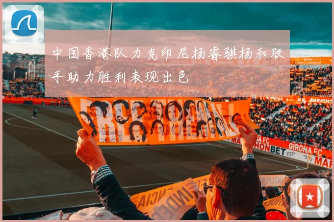 中国香港队力克印尼杨睿骐杨和联手助力胜利表现出色